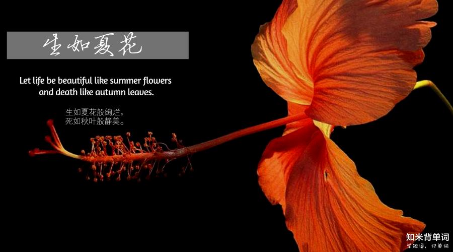 乔妹的套路,乔妹控场能力