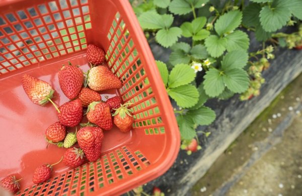 太湖舒畅之旅：乐享田园生活