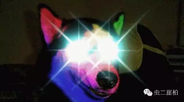 不随意鸣笛做中国好司机,中国文明好司机