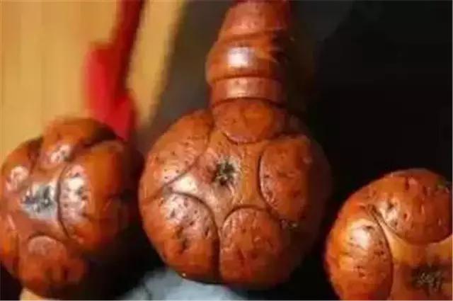 凤眼兄弟,凤眼菩提的兄弟姐妹们都是谁