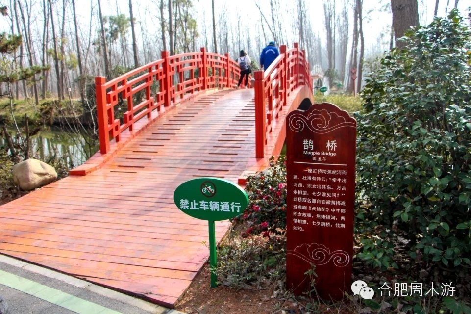 合肥玩的攻略,合肥游玩攻略刺激项目