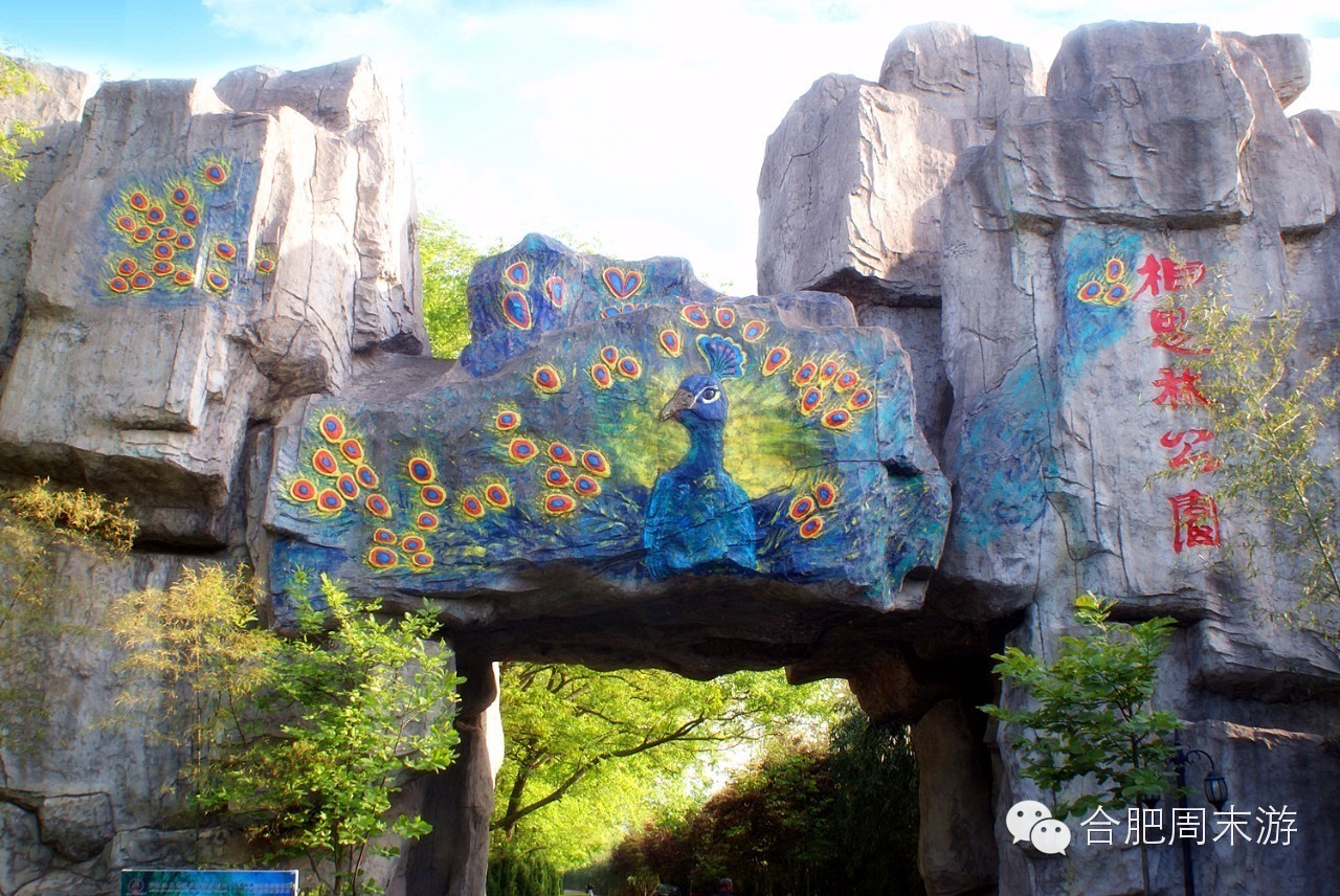 合肥玩的攻略,合肥游玩攻略刺激项目