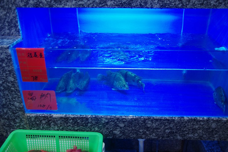 味霖海鲜渔港地址,同安味霖海鲜渔港周岁宴