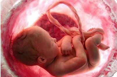 新生儿刚出生的检查结果,新生儿出生第二天体检爸爸吓坏