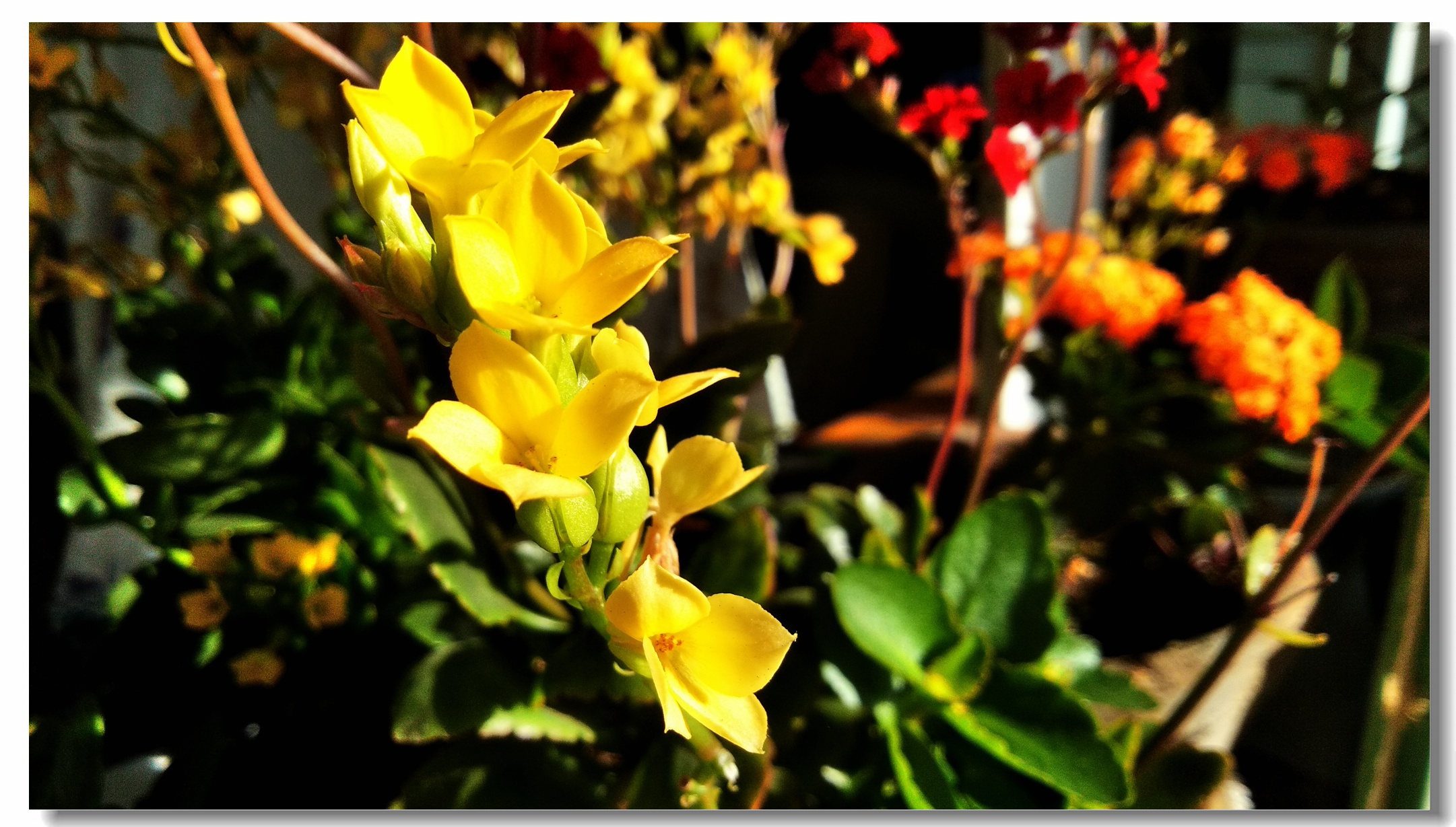 海信a151测评,海信a100评测