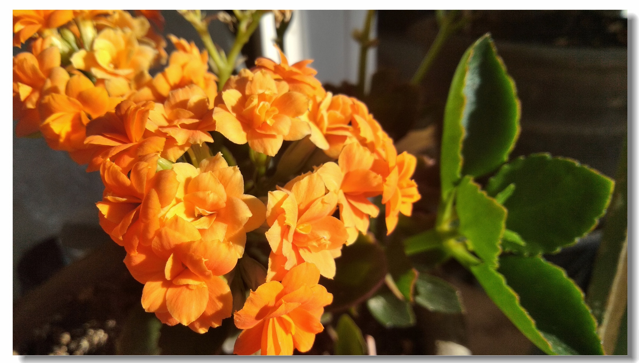 海信a151测评,海信a100评测