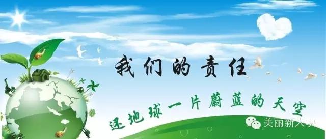 馒头哥创业,馒头哥以前干啥的