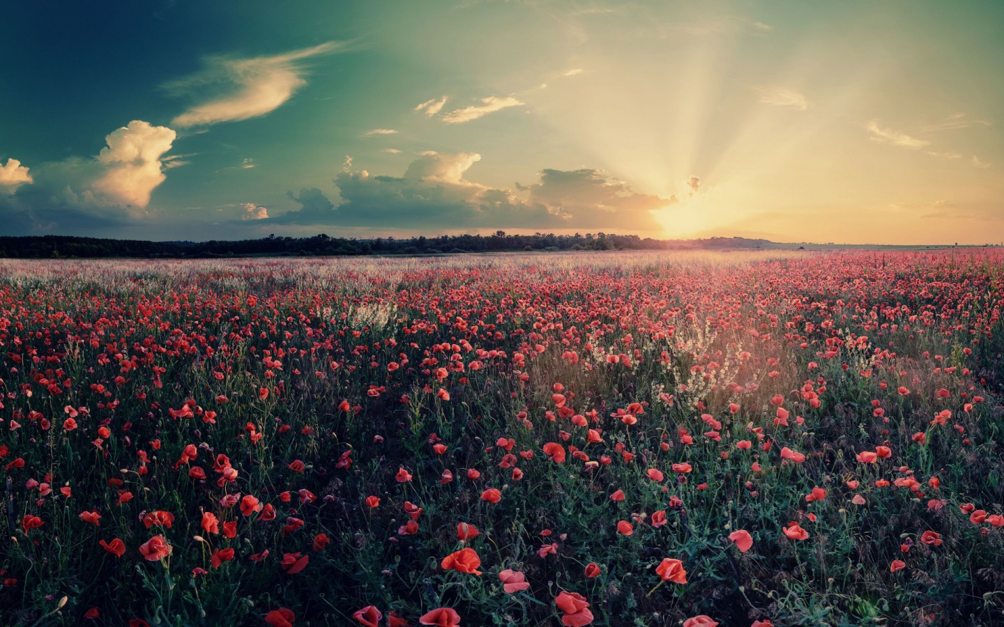 天空下雨，可以打伞；心下雨，该怎么办？