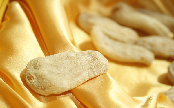 怎样辨别真假天麻视频,如何辨别真假天麻粉