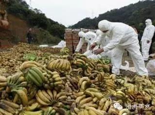 这些水果分分钟会毒死我们,看看吧.....