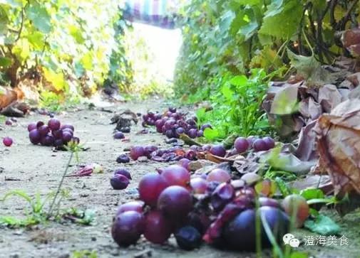 这些水果分分钟会毒死我们,看看吧.....