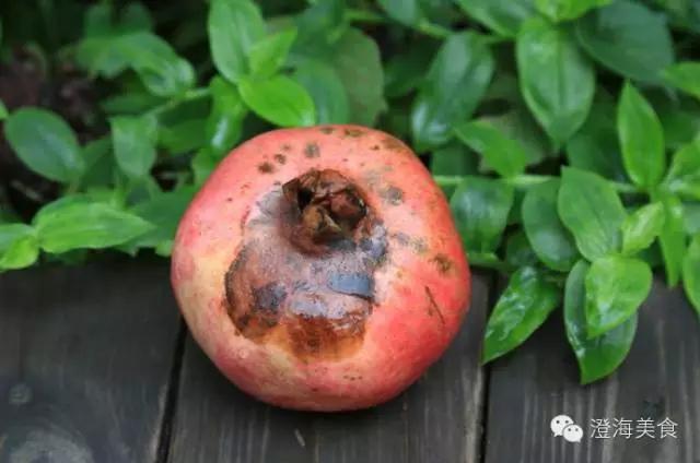 这些水果分分钟会毒死我们,看看吧.....