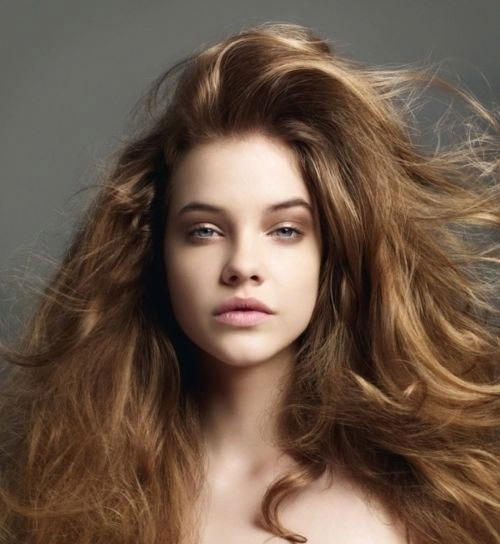 金毛狮王怎么打理,金毛狮王头发打理