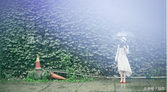 雨中浪漫的邂逅,花海中的浪漫邂逅