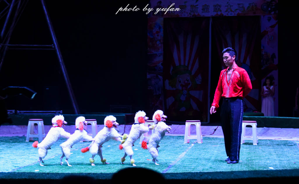 国庆何须东奔西走,国庆长假何必远游