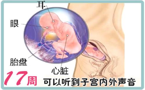 怀孕第十二周症状,怀孕第十七天的反应