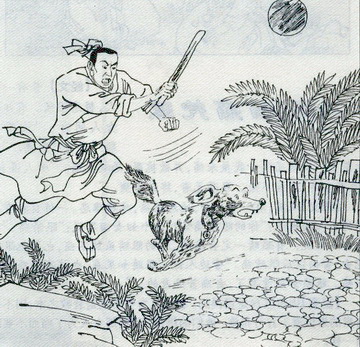 狗子犯错打了以后还是犯错,狗子犯错了该不该打