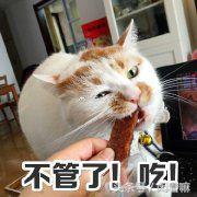 看不懂的月饼馅？！那些不按常理出牌的奇特口味月饼