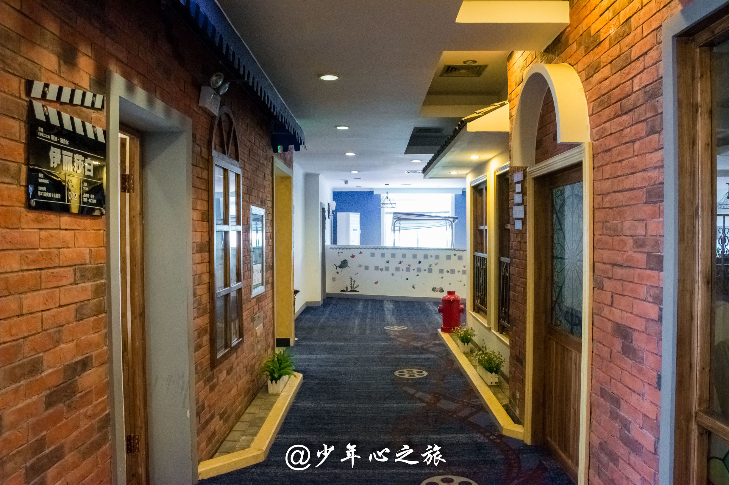 这里汇聚了全国各地的明星，这里也云集了五湖四海的美食