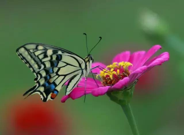 摄友摄影师作品,摄友照片点评
