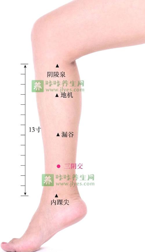 女性月经量少艾灸治疗方法,艾灸能治月经不调哪些情况