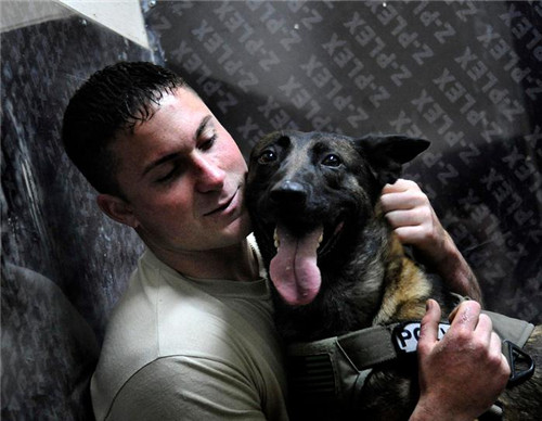 从零开始学瑜伽办公室瑜伽,办公室瑜伽每天必练8个动作