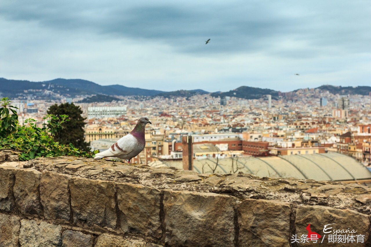 观足球观世界,足球观世界第五期