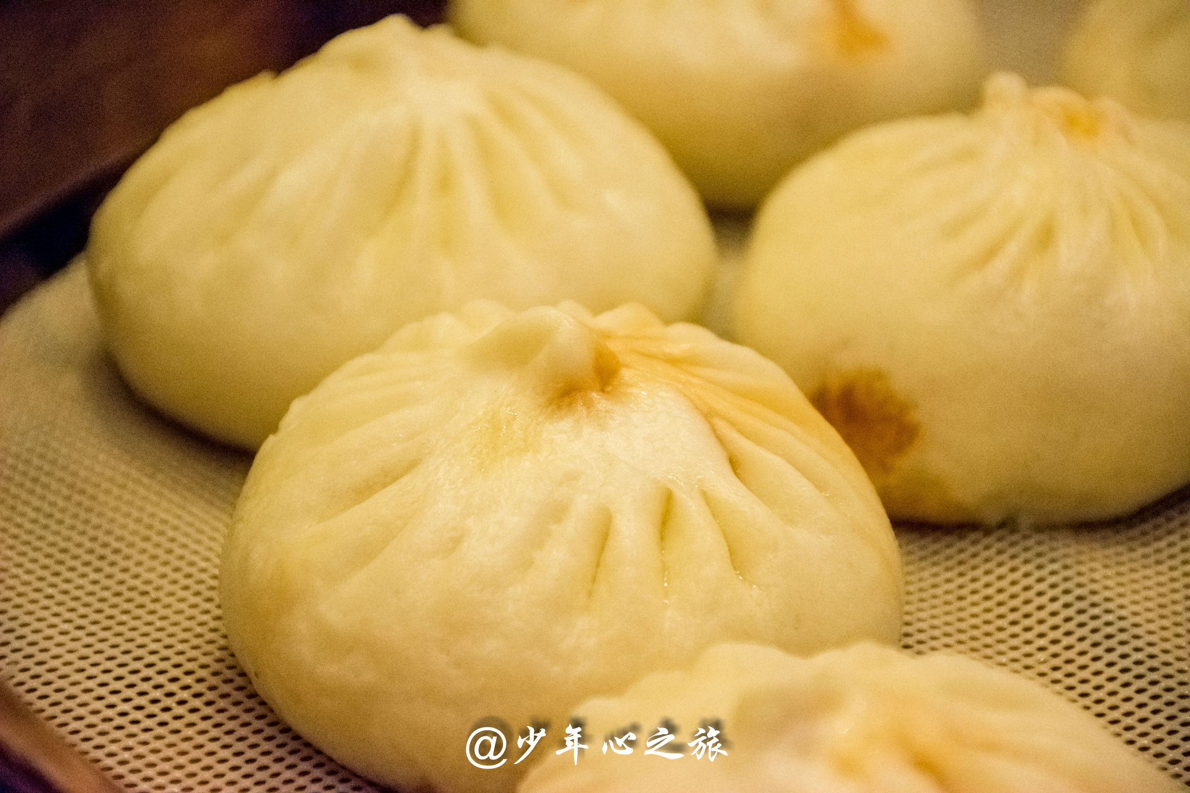 这里汇聚了全国各地的明星，这里也云集了五湖四海的美食