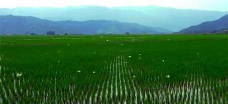 《鬼乡》没有鬼却讲了一段更恐怖的历史