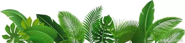 阜新南站列车最新消息,最新阜新南站普快列车表