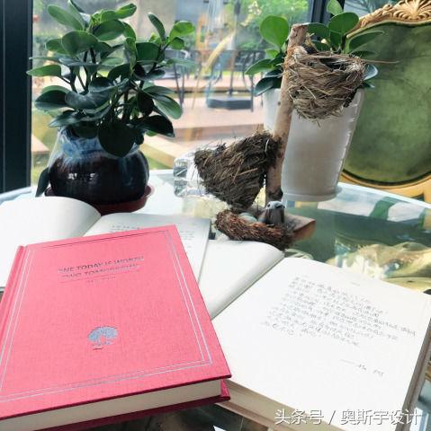 聚北研究所：看天亮起来是件寂寞的事