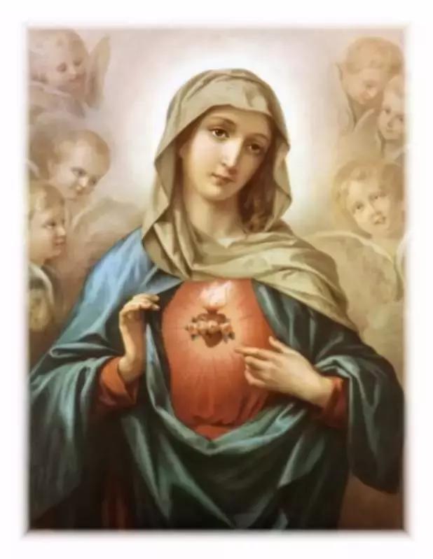 摄友摄影师作品,摄友照片点评