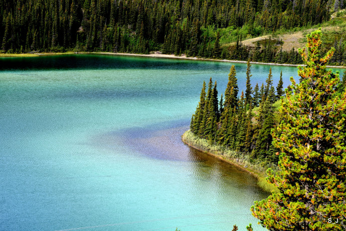 加拿大西北部育空,加拿大北部育空地区