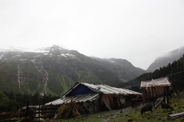 藏西线,最可怕的藏毒视频