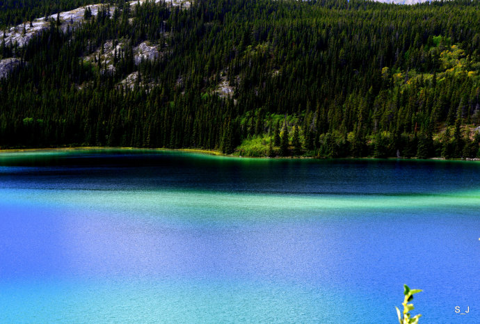 加拿大西北部育空,加拿大北部育空地区