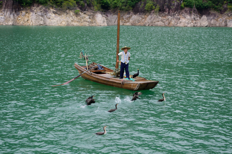 中国十大侨乡排名青田,侨乡青田之最
