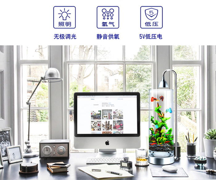 小鱼缸供氧多久,小鱼缸氧气管出水