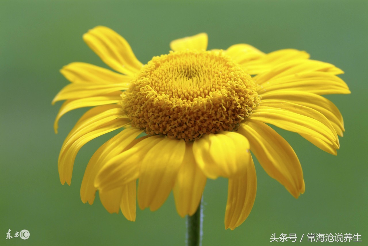 需要久坐但是有痔疮怎么办,久坐导致的痔疮怎样治疗