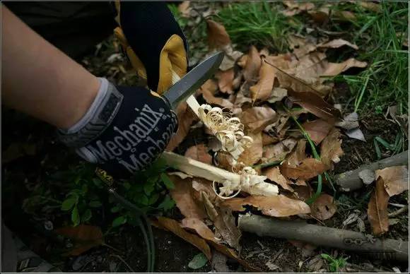 荒野求生是怎么生火的,荒野求生如何生火