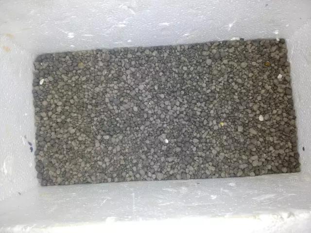 开缸的日记,开缸日记小鱼缸