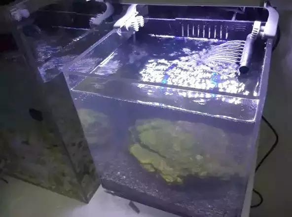 开缸的日记,开缸日记小鱼缸