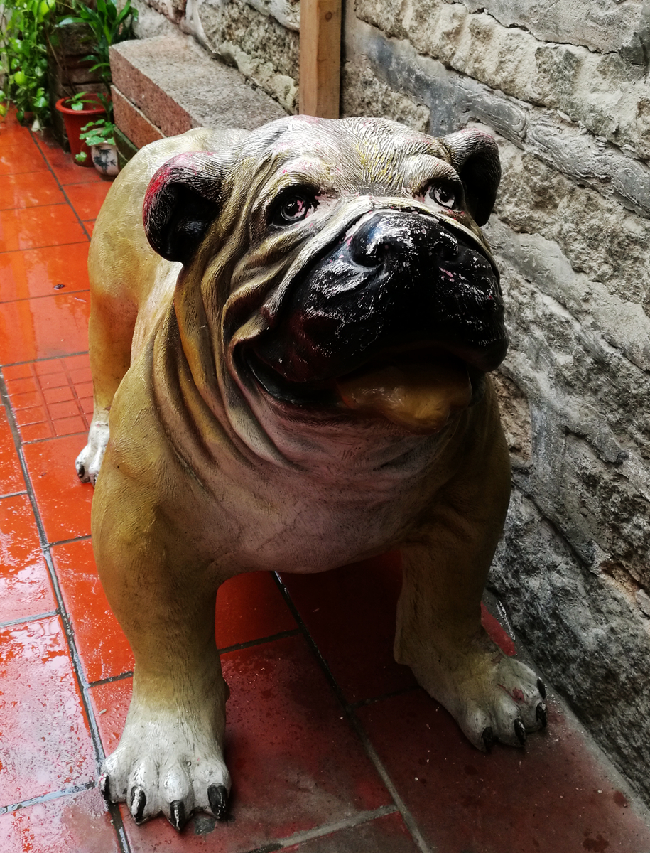 菲·独行侠·福州出发剑走偏锋厦门你可能没去过的美景