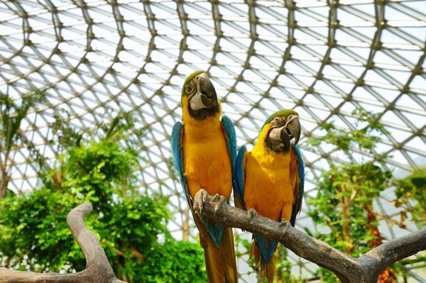 太湖舒畅之旅：乐享田园生活