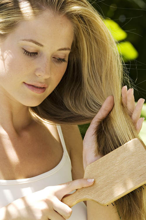 金毛狮王怎么打理,金毛狮王头发打理