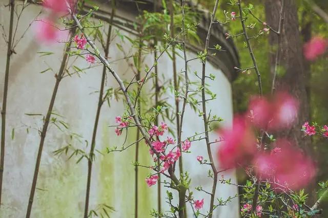 他在这里盖房子时，日本人还没学会唐风