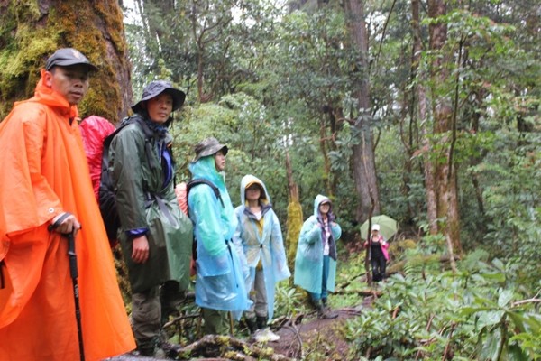 藏西线,最可怕的藏毒视频