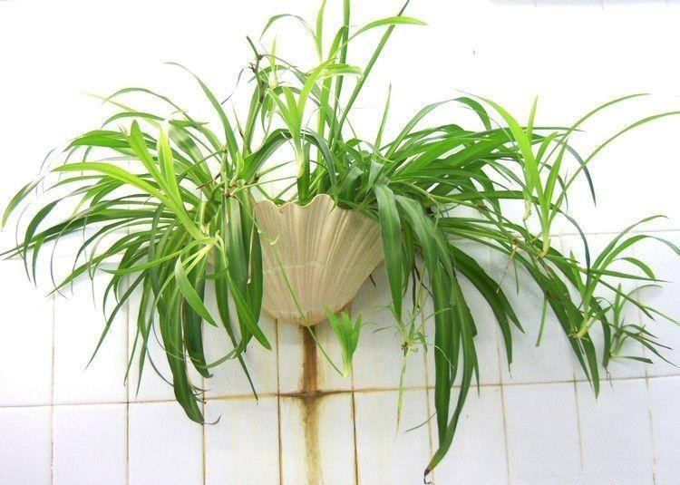 新房装修除甲醛攻略,新房除甲醛知识大全