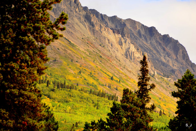 加拿大西北部育空,加拿大北部育空地区