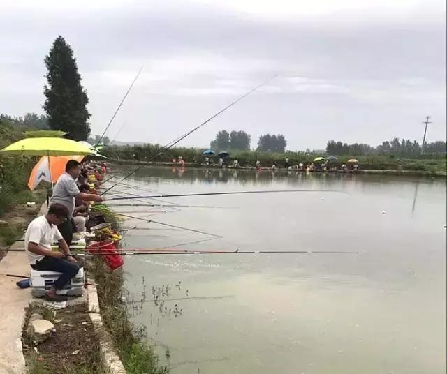 2017钓鱼比赛河南,行营河钓比赛