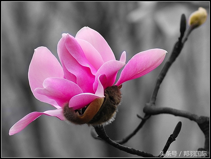 腥味怎么除去,什么调料可以有效去除鱼腥味
